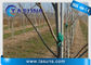 Bitki Ağacı Destek Direkleri Çubuğu için UV İnhibitörü Pultruded Fiberglas Çubuk